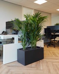 inspiratie-1