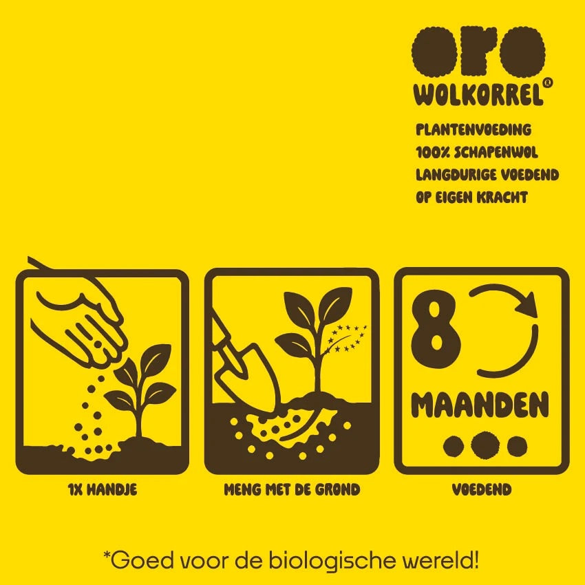 inspiratie