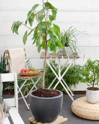 inspiratie-2