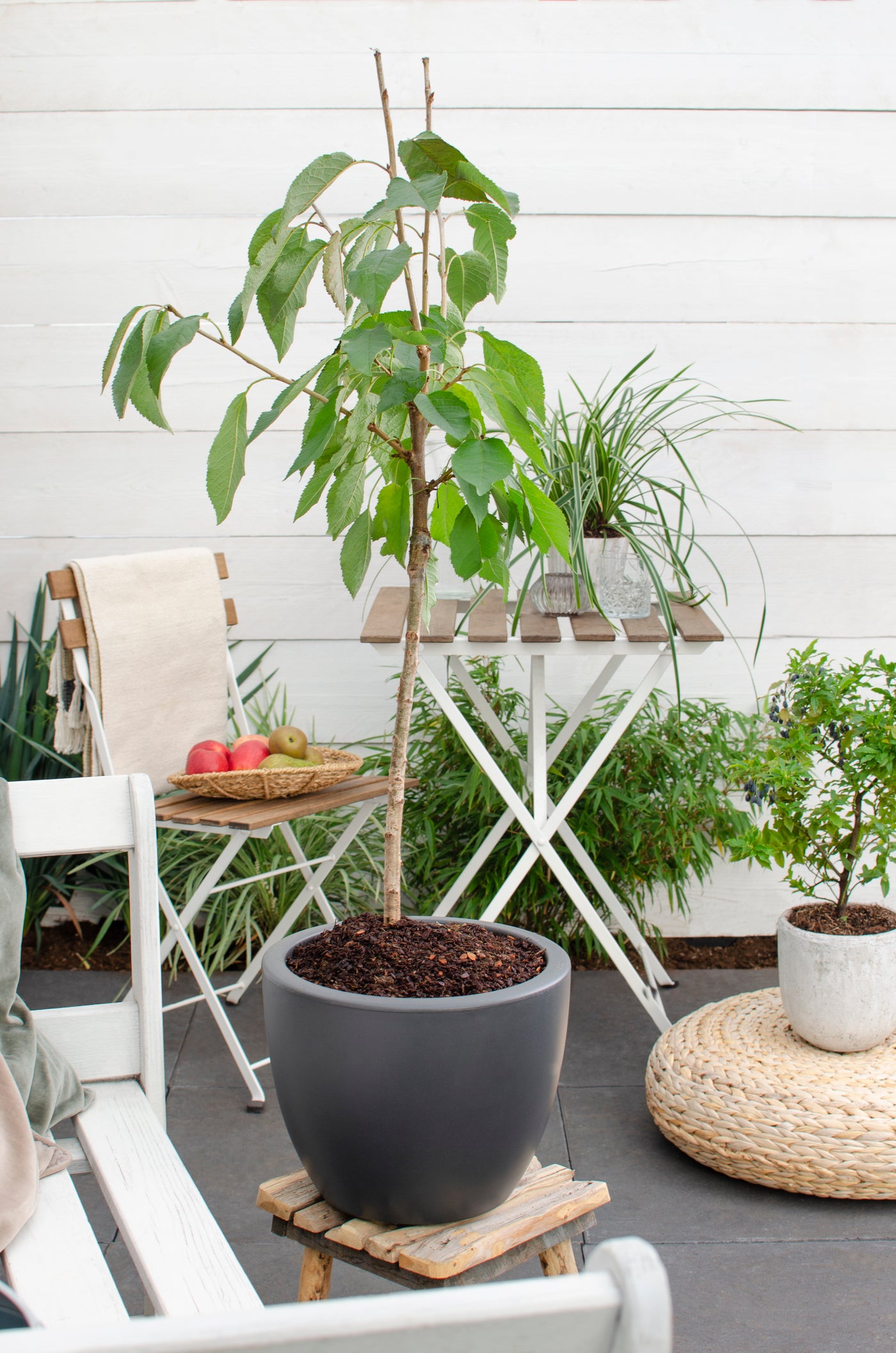 inspiratie