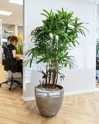 inspiratie-3