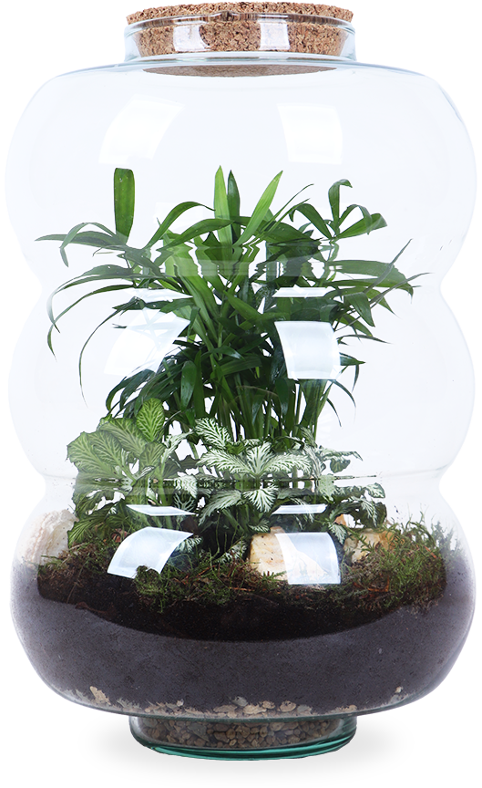 Terrarium rondingen (L)