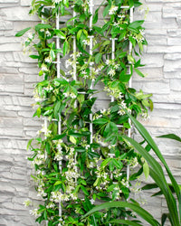 inspiratie-1