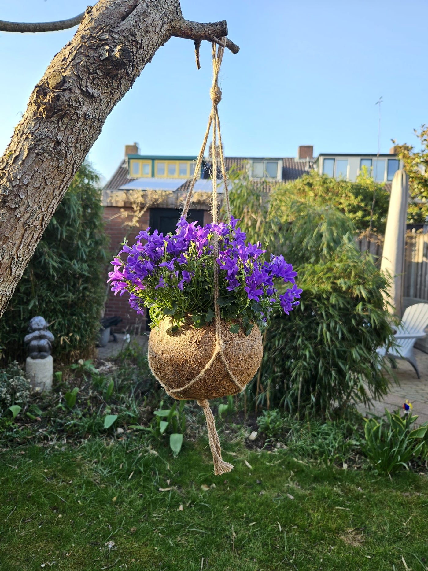 inspiratie