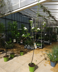 inspiratie-1