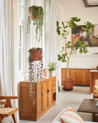 inspiratie-2