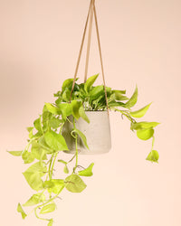 inspiratie-1