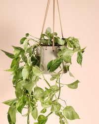 inspiratie-3