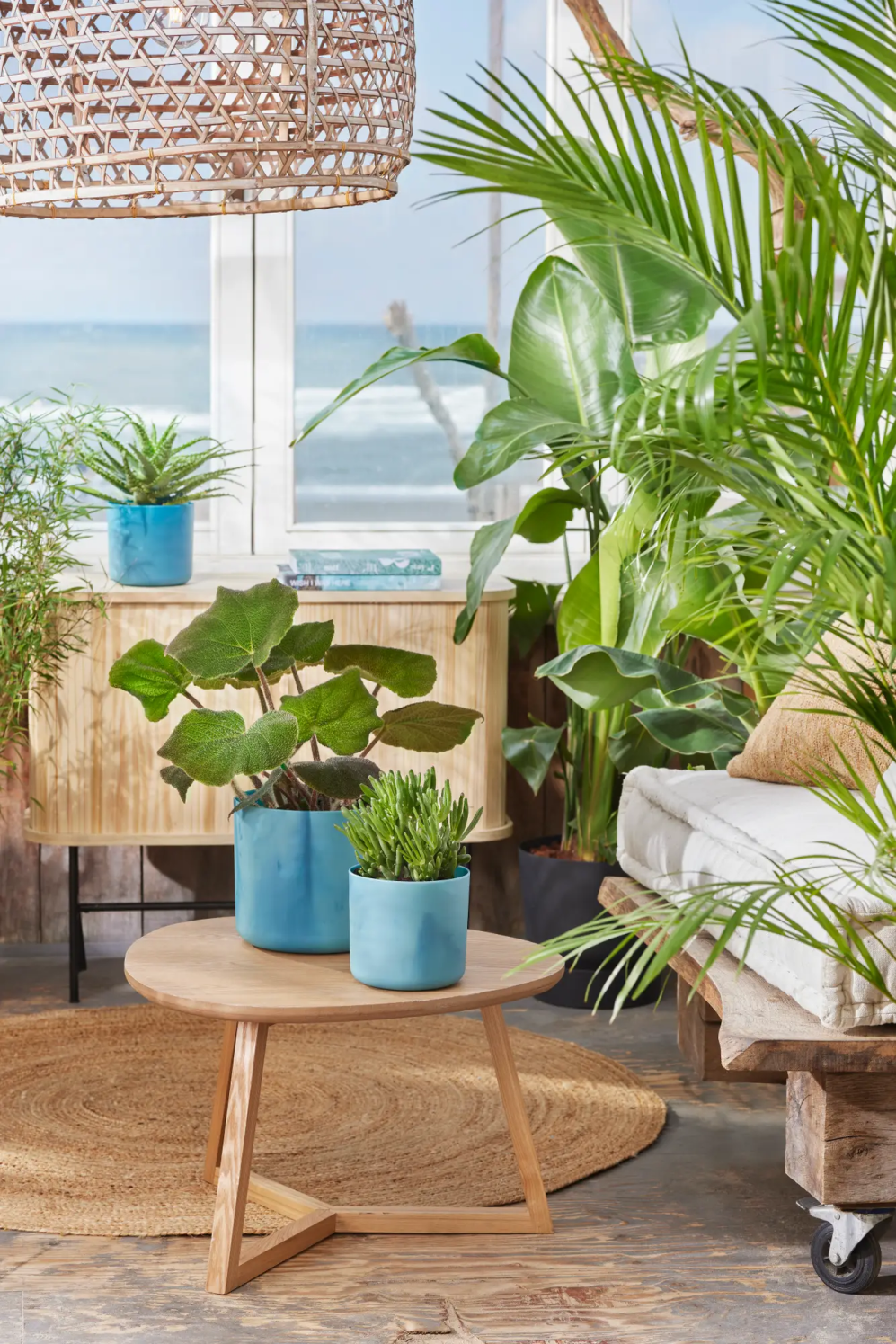inspiratie