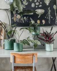 inspiratie-6