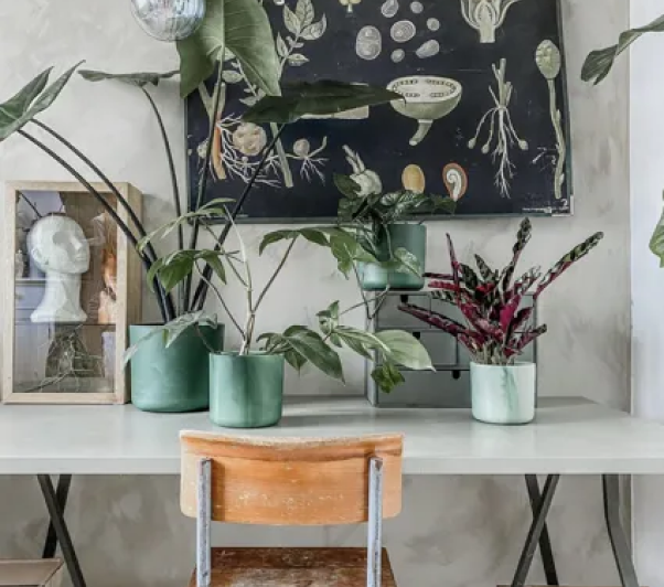 inspiratie