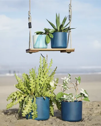 inspiratie-7