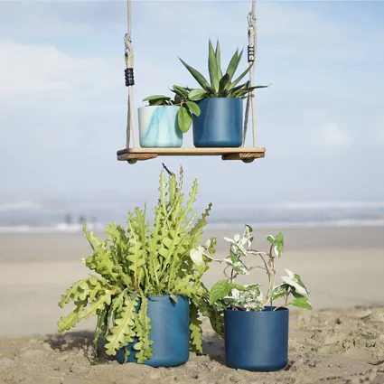 inspiratie