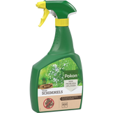 Anti-schimmel spray voor kamerplanten BIO - Pokon