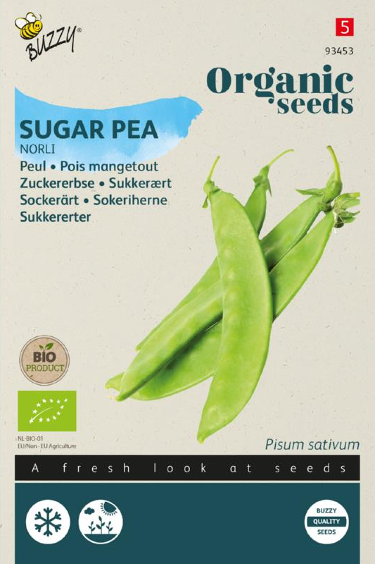 product front