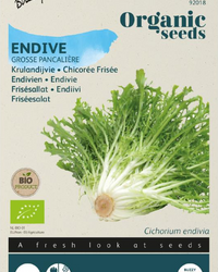inspiratie-1