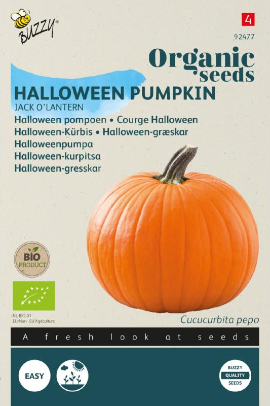 Pompoen Jack O'Lantern zaden BIO