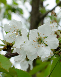 inspiratie-4
