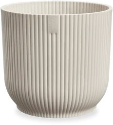 Vibes (30cm)