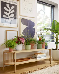 inspiratie-1