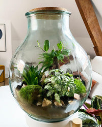 inspiratie-1