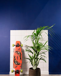 inspiratie-1