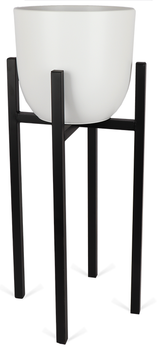 Ascot (37,5cm) Zwart & Boule (31cm) Wit