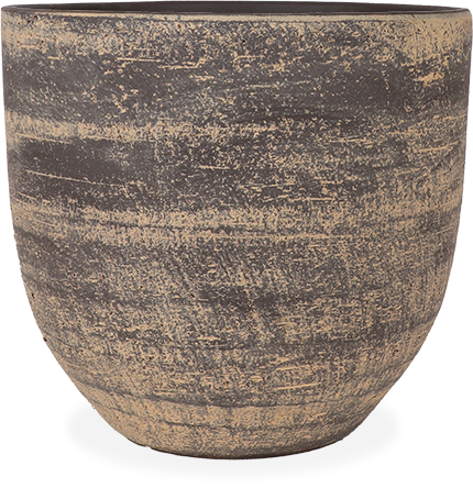 Cas (39cm)