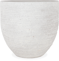 Cas (29cm)