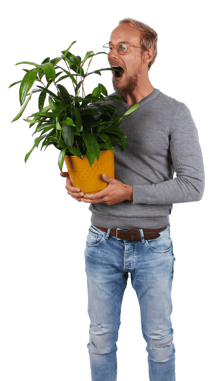 Plantenliefhebber