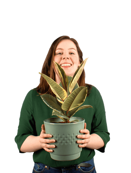 Plantenliefhebber