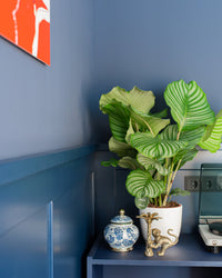 inspiratie-1