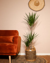 inspiratie-2