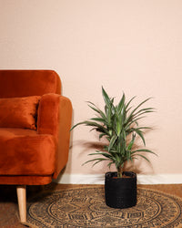 inspiratie-1