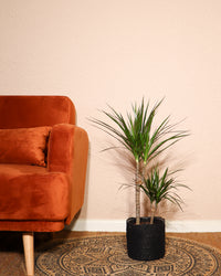 inspiratie-1