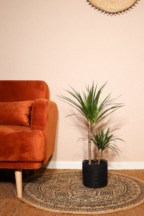 inspiratie