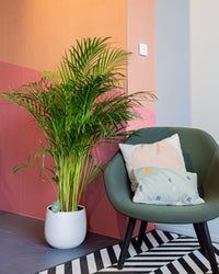 inspiratie-1