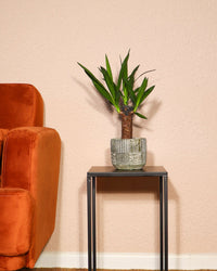 inspiratie-1