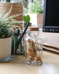 inspiratie-1