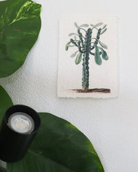 inspiratie-1