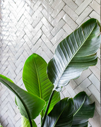 inspiratie-3