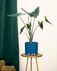 inspiratie-2
