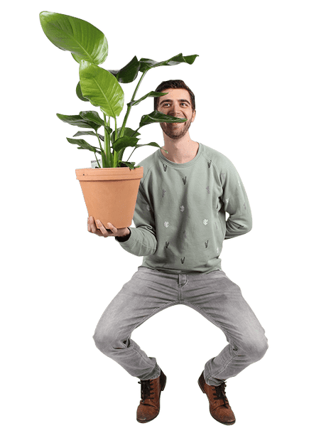 Plantenliefhebber