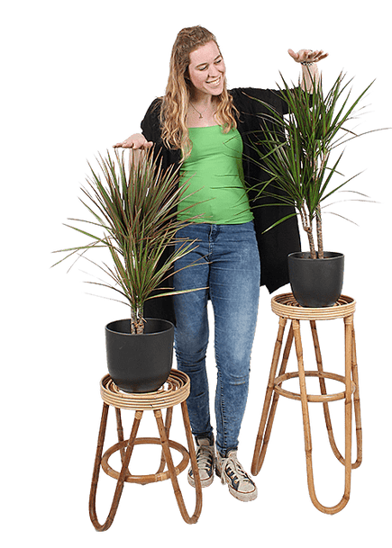 Plantenliefhebber