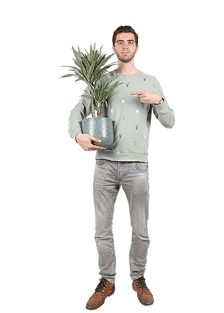 Plantenliefhebber