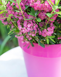 inspiratie-4