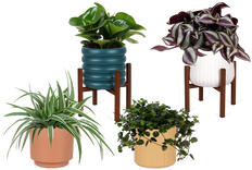 TEST Native Bundles - Bundle