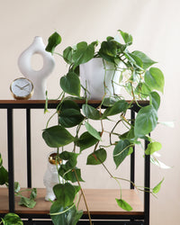 inspiratie-2
