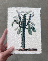 inspiratie-2