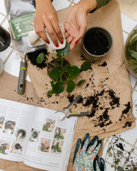 inspiratie-7